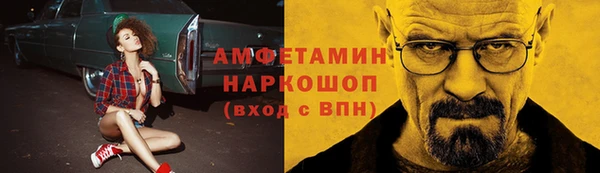 сатива Покачи