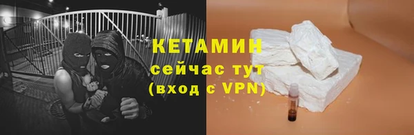 сатива Покачи