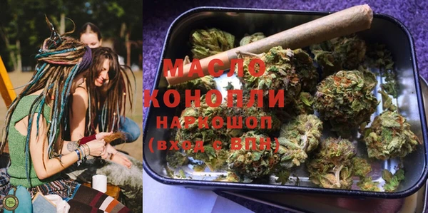 сатива Покачи
